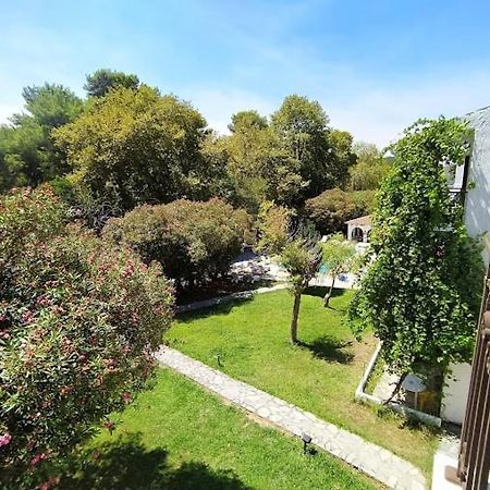 Amalia Studios Skiathos Eksteriør billede